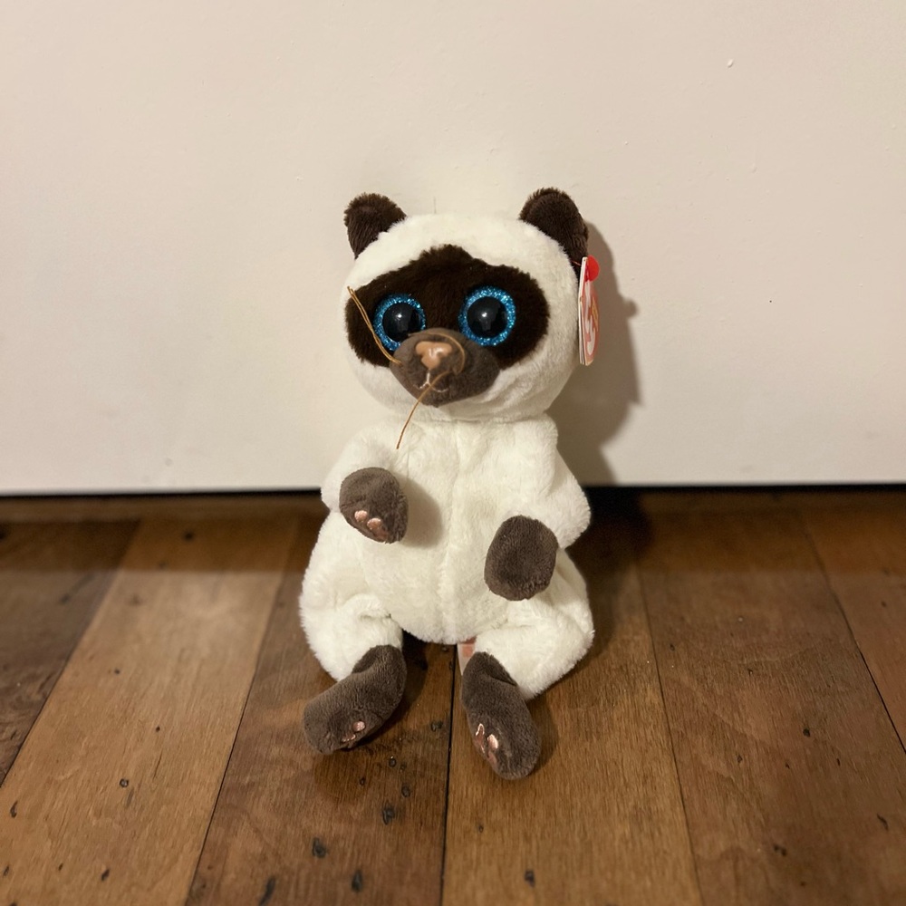 "Miso" the Siamese Cat